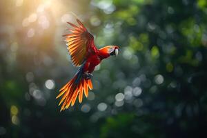 ai generado escarlata guacamayo volador en tropical bosque.generativo ai foto