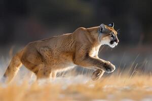 AI generated puma concolor jumping in forest.Generative AI photo