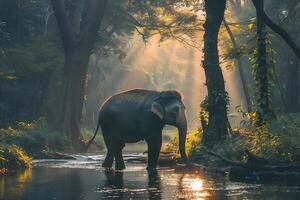 AI generated Asian Elephants in a natural river at deep forest.Generative Ai photo