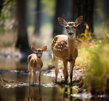 AI generated sika deer mother and fawn standing together.Generative Ai photo