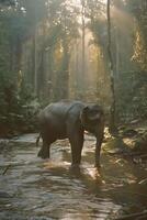 AI generated Asian Elephants in a natural river at deep forest.Generative Ai photo