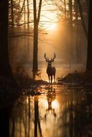 ai generado hermosa masculino ciervo en el bosque.generativo ai foto