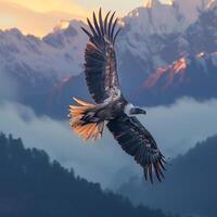 AI generated Himalayan griffon vulture flying with snow mountain background.Generative Ai photo