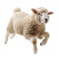 AI generated cute funny sheep isolated on white background.Generative AI photo