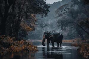 AI generated Asian Elephants in a natural river at deep forest.Generative Ai photo