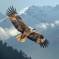 AI generated Himalayan griffon vulture flying with snow mountain background.Generative Ai photo