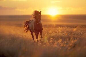 AI generated horses galloping across a field at sunset.Generative AI photo