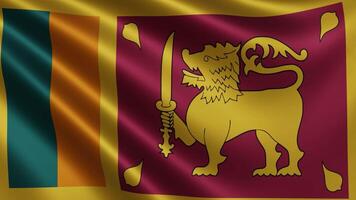 Sri Lanka flag in the wind closeup, the national flag of Sri Lanka flutters in video