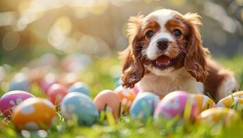 AI generated Cavalier King Charles Spaniel puppy and easter eggs on green grass photo