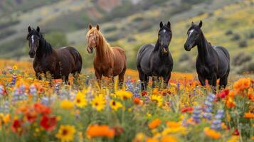 ai generado grupo de caballos en pie en campo de flores foto