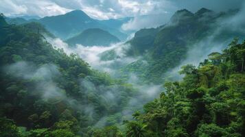 ai generado aéreo ver de cubierto de niebla montaña rango foto