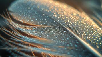 ai generado azul pluma con agua gotas foto