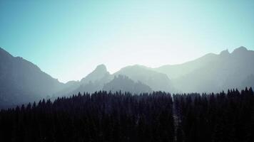 A view of a mountain range with trees in the foreground video