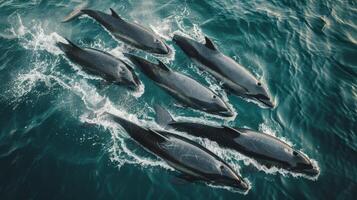 AI generated Group of Dolphins Swimming in the Ocean photo