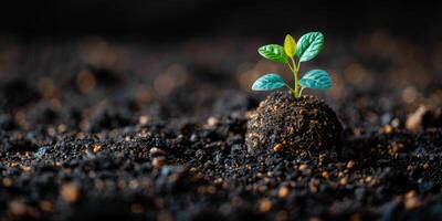 ai generado joven verde planta brotante desde fértil suelo, simbolizando nuevo vida y crecimiento. concepto de naturaleza, renovación, y ambiental sostenibilidad. foto