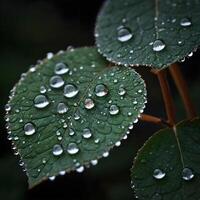 AI Generated Fresh Dew Drops Glistening on Vibrant Green Leaves in Early Morning Light photo