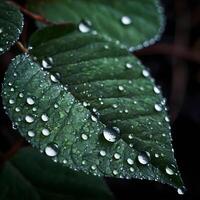 AI Generated Fresh Dew Drops Glistening on Vibrant Green Leaves in Early Morning Light photo