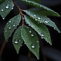 AI Generated Fresh Dew Drops Glistening on Vibrant Green Leaves in Early Morning Light photo