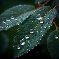 AI Generated Fresh Dew Drops Glistening on Vibrant Green Leaves in Early Morning Light photo
