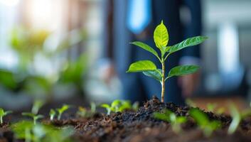 AI generated Young plant seedling in soil with blurred background photo