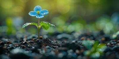 AI generated Tiny blue flower seedling sprouting from fertile soil, symbolizing new life and growth. Concept of natures resilience, environmental conservation, and sustainable future. photo