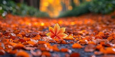 AI generated Autumn leaves in the park. Autumn background. Fall background. photo