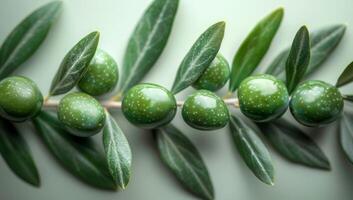 AI generated Close up of green olives on a branch with leaves. photo