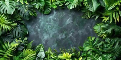 AI generated Tropical leaves frame on green wall background with copy space. photo