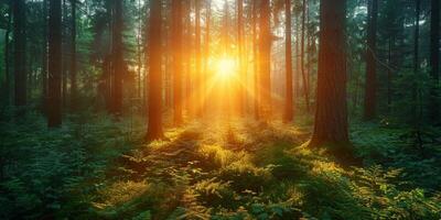 ai generado asombroso amanecer esclarecedor un lozano bosque foto