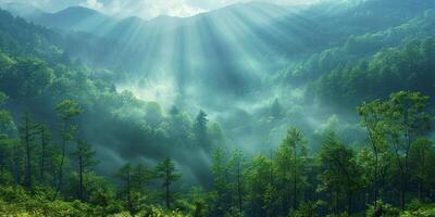AI generated Misty morning in the mountains. Panoramic view of misty forest. photo