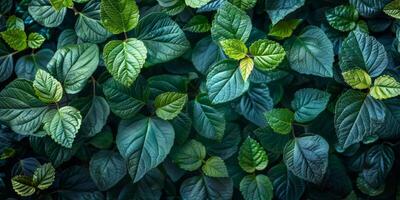 AI generated Green leaves background. Green leaves background. Green leaves texture. Green leaves background. photo