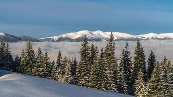 Clouds move over the valley in Carpathian mountains. Time lapse. video