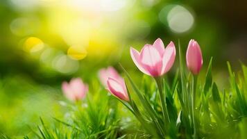 AI generated Natures beauty portrayed through spring bokeh background photo