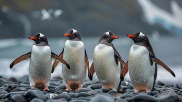 ai generado grupo de pingüinos en pie en rocoso playa foto