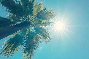 AI generated Bright sun over a palm tree, a tropical plant in paradise photo