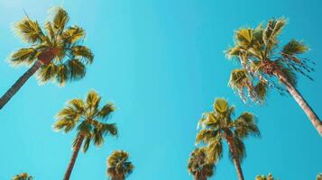 AI generated A minimalist composition of tall palm trees against a bright blue sky, creating a striking photo