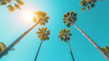 AI generated A minimalist composition of tall palm trees against a bright blue sky photo