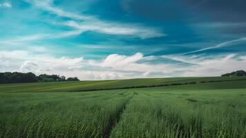 ai generado azul cielo encima lozano verde campos, un sereno campo foto