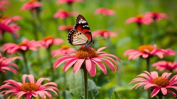 AI generated Colorful background sets the scene for summer butterfly atop flower photo