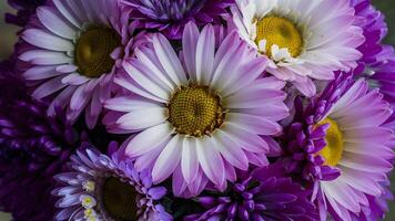 AI generated Macro shot showcases the beauty of a bouquet of flowers photo