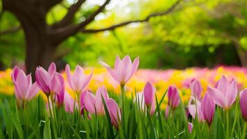 AI generated Colored blurred background of beautiful seasonal spring flowers, trees photo