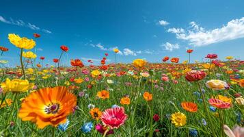 AI generated A minimalist view of a vibrant flower field, where colorful blooms stretch to the horizon photo