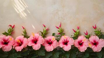 AI generated Textured background features sunlight kissed pink hibiscus flower border photo