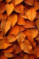 AI generated A pile of orange and yellow leaves scattered on the ground, embodying the essence of autumn photo