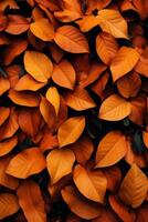 AI generated A pile of orange and yellow leaves scattered on the ground, embodying the essence of autumn photo