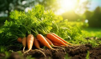 AI generated carrots growing under the soil in a garden photo