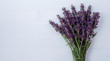 ai generado capturar lavanda flores arreglado en un manojo en contra limpiar blanco fondo foto