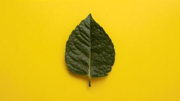 AI generated Lemon leaf isolated against a crisp white background for versatility photo