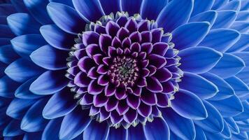 AI generated shot Abstract macro photo of flowers creating tranquil artistic design