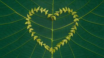 AI generated Leaf pattern nature frame layout heart shaped green leaves photo